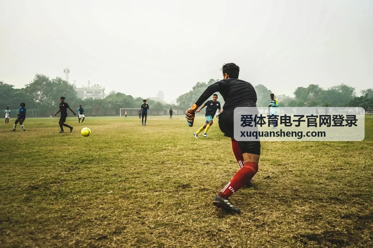 爱体育电子官网登录账号与安全帮助栏目封面